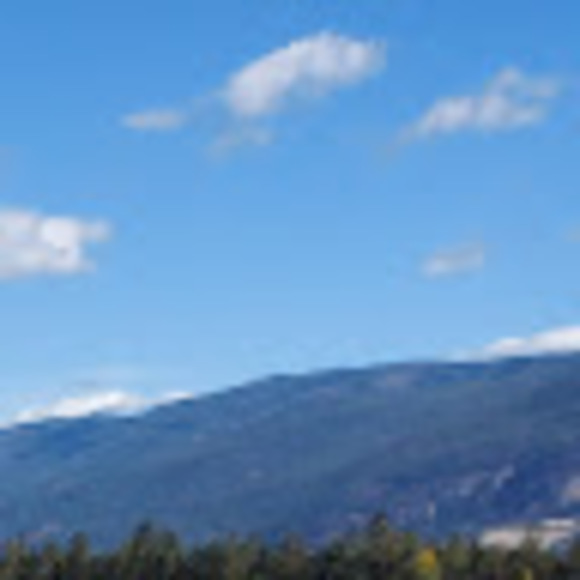 Meet your Posher, Laura - Picture 1 of 1